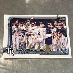 Topps Tampa Bay Rays Team Card